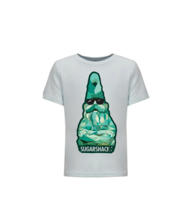 Poly Gnomeo Kids Tee